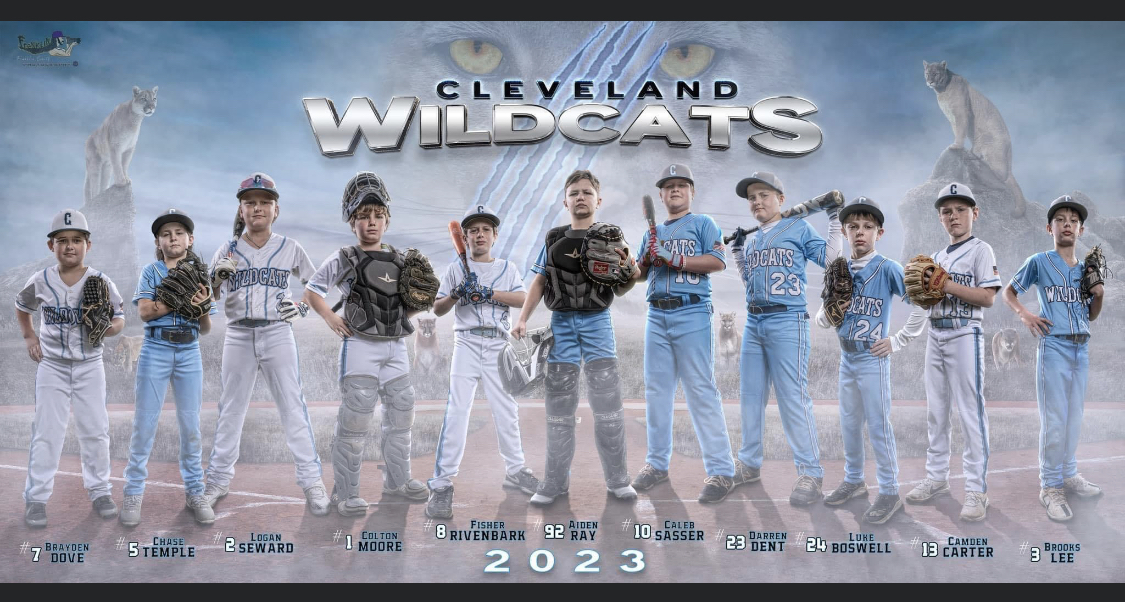 baseball, cleveland wildcats