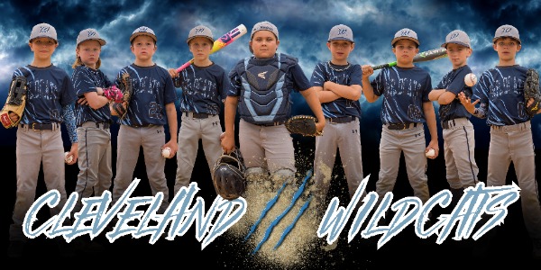 wildcats-ransom